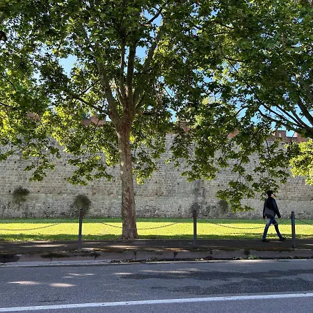 Casa Nonna Tina A 700 M Dalla Torre Di Apartment Pisa